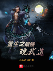 重生之最强魂武道