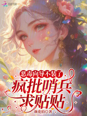 恶毒向导不装了，疯批哨兵求贴贴